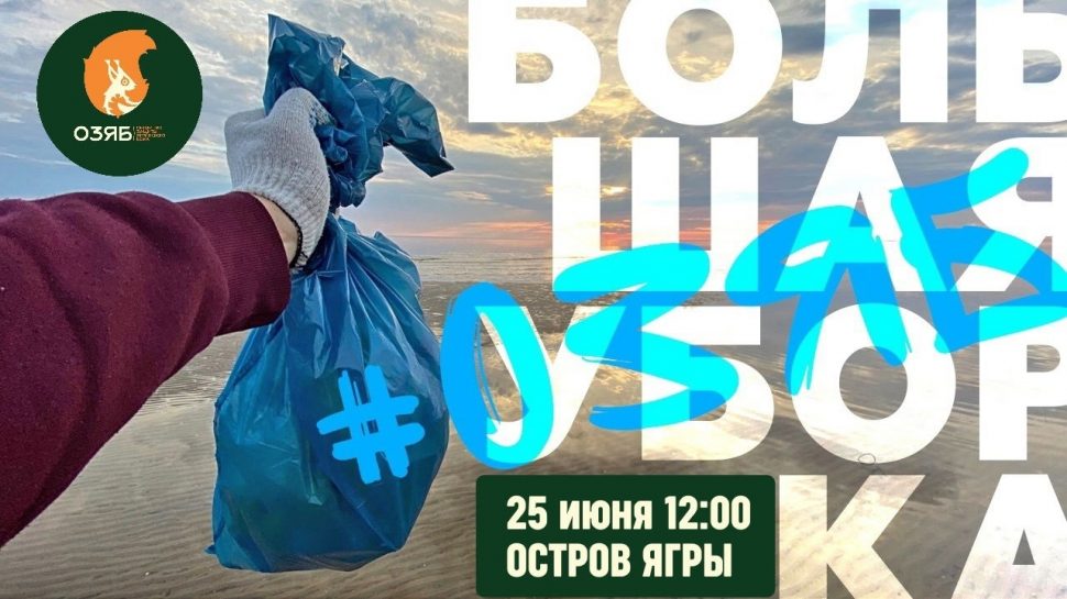 Жителей Северодвинска приглашают на «Большую уборку»